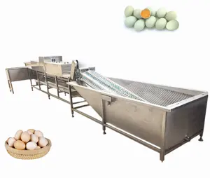 Automatic Duck Eggs Brush Cleaning Drying Sterilization Production Line Egg Processing Washing Machine