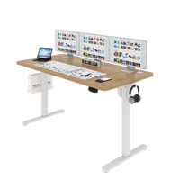 Bureau debout électrique à hauteur réglable, style minimaliste modulaire, avec support en métal et bois, moteur simple, ergonomique, montage facile
