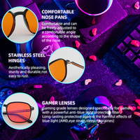 Monturas de Gafas Personalizables al por Mayor, Gafas con Bloqueo de Luz Azul, Gafas de Diseño de Lujo
