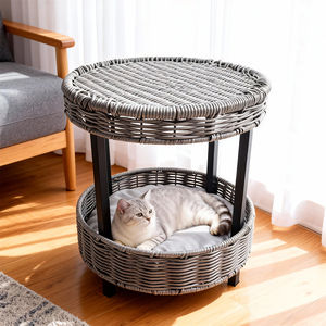 Cama <span class=keywords><strong>para</strong></span> Mascotas de Ratán Tejido de 2 Niveles con Cojín, Mueble Elevado Multifuncional <span class=keywords><strong>para</strong></span> Descanso de Mascotas, Colores y Estilos Personalizados Disponibles - Product Image 1