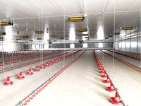 Mangeoire automatique durable pour poulets de chair, grand système d'alimentation pour volailles, avec plateau réglable, état neuf, contrôle de la volaille en fin de ligne