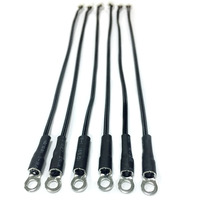 PT100 y PT1000 100 OHM 1000 OHM CLASE a CLASE B CLASE 1/3B 1/10B Sensores de temperatura para energía almacenada