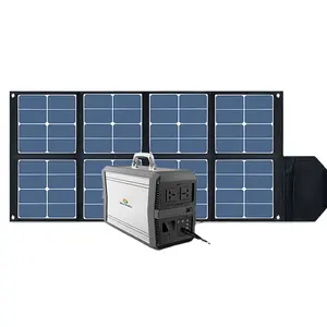 SUNGZU 1000w 가정 태양 광 시스템 비상 백업 전원 은행 태양 광 발전소 발전기 100w 태양 전지 패널 충전