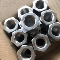 Factory Direct Stainless Steel DIN934 Standard Industrial Hex Nut