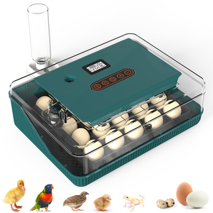 Compre en Línea Nueva Mini Incubadora de Huevos Automática de Alta Productividad para Uso Agrícola, con Capacidad para 25 Huevos de Gallina, Pato y Ganso - Product Image 5