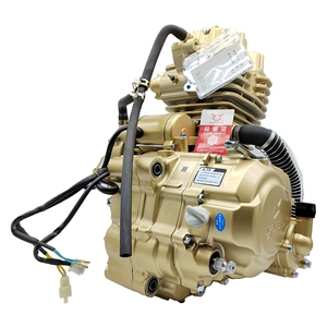 Triciclo de Tres Ruedas con Motor de Motocicleta de 200 CC, ATV CG200, Motor Monocilíndrico de 4 Tiempos Refrigerado por Agua, Motocicleta Todoterreno - Product Image 1
