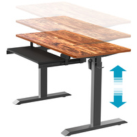 Bureau Moderne à Hauteur Réglable Électrique Ergonomique en Métal à Deux Étages Automatique OEM Meubles Intelligents