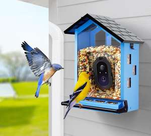 Mangeoire Anti Écureuil Caméra Intelligente Haute Définition Regarder Coquille En Métal Colibri Sauvage Mangeoire À Oiseaux Cage - Product Image 3