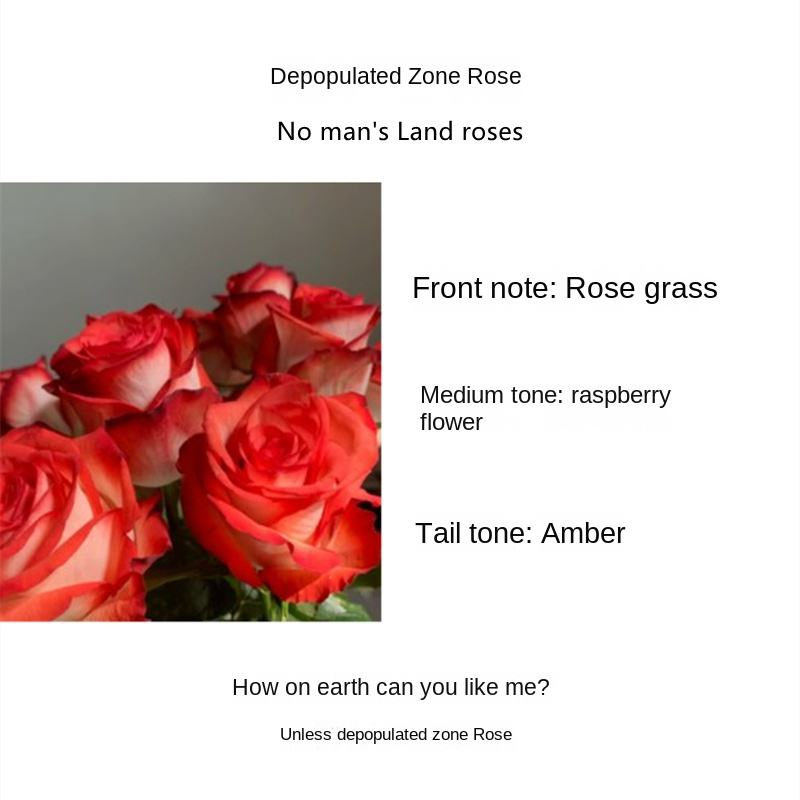 Roses dans No Man's Land (Parfum léger)