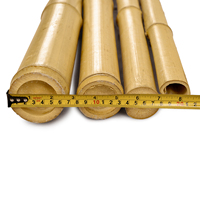 Fournisseur d'usine – Poteau en bambou Tonkin écologique, jaune naturel, grande taille 60-520 cm, pour usage agricole/landais, support de cage à tomates