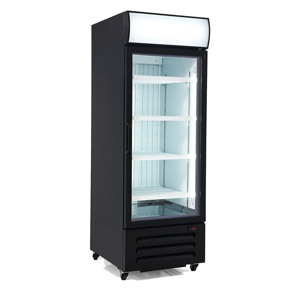 Ticari soğuk depo dikey buzdolabı mal dondurucu Gelato ekran dondurucu