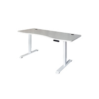 Bureau électrique réglable à double moteur, meubles de bureau, pour la maison, réglable en hauteur