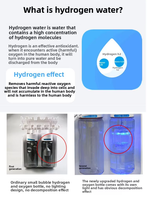 Appareil de beauté 7 en 1, dernier cri, hydrodermabrasion, masque facial, soins du visage, hydratation de la peau, jet d'oxygène, machine de beauté faciale