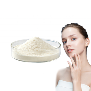 Colágeno Hidrolizado en Polvo al por Mayor de Fábrica, Péptidos de Colágeno Bovino para Piel, Cabello, Uñas y Articulaciones - Product Image 1