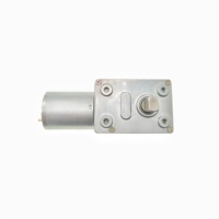 Moteur DC 370 personnalisé, 46 mm, double arbre plat, 20 kg.cm, mini réducteur à vis sans fin, 12 V, moteur à engrenages à aimant permanent brossé pour ventilateur