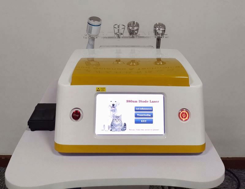 Veterinary Electromagnetic Shockwave Therapy Machine ESWT