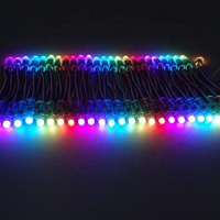 Luces LED Inteligentes WS2811 RGB de 8mm 12V IP65 para Paisajismo con Carcasa de Plástico