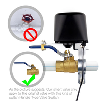 Vanne d'eau de contrôle de manipulateur de capteur de gaz Wifi intelligent DN15 DN20 contrôleur d'arrêt Tuya Alexa Google Assistant SmartLife