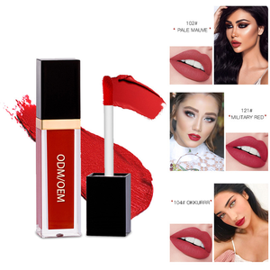 Brillant à lèvres personnalisé OEM ensemble de rouge à lèvres marque privée finition nude nacrée mate hydratant naturel sans minéral induisant des allergies - Product Image 3