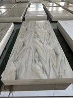 Panneau mural intégré en PVC sans joint pour une construction rapide et un projet de décoration intérieure