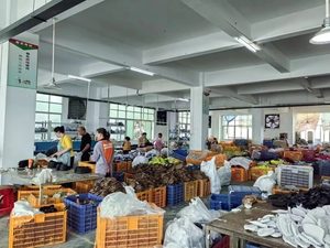 Gran Oferta Suela para Calzado Deportivo de Horma Ancha Tallas Grandes 35-48 Suela Suave Tipo Descalzo para Hombre - Product Image 6