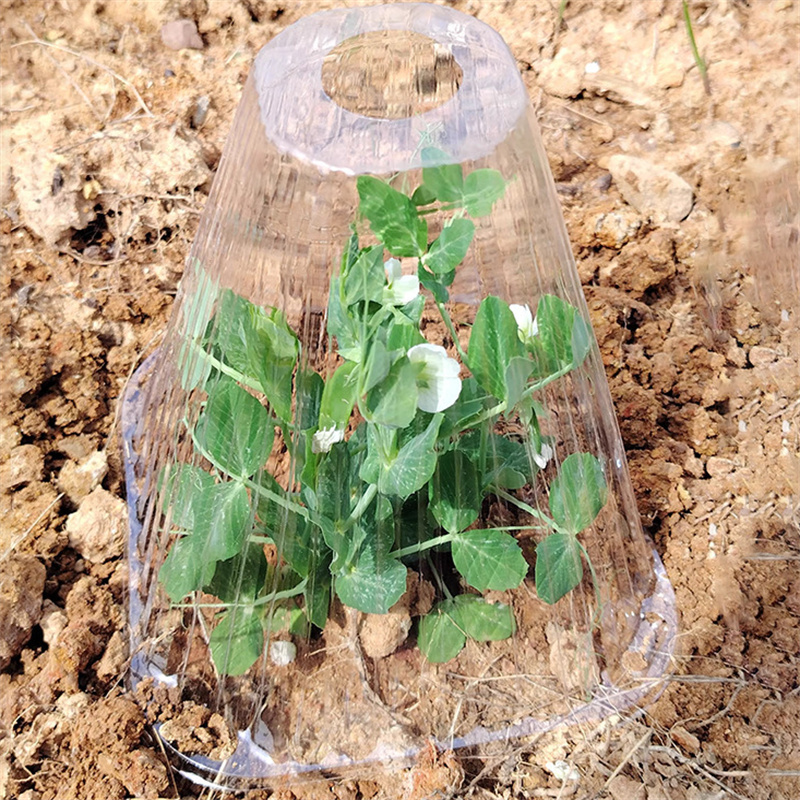 Reusable Plant Bell Jars - Protect Your Garden Efficiently
