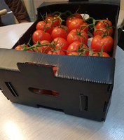 Boîte de retournement en plastique ondulé personnalisée avec des matériaux recyclés pour l'emballage industriel de produits chimiques en chaîne du froid