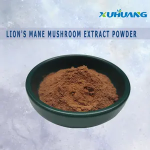 Factory Supply Lions Mane Mushroom Extract Powder