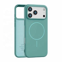 Pour iPhone 16e 17 Air Pro Max 16 15 14 13 12 11 XR XS MAX Étui Magnétique Antichoc Étui Souple Couverture Arrière