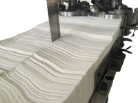 Ligne de production de pliage de serviettes en papier WellDone à grande vitesse Machine de pliage de serviettes hygiéniques de haute qualité