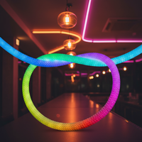 Bande lumineuse LED néon tressée en maille ronde à 360 degrés WITOP, étanche IP67, 24V, flexible, en plastique, DMX512, pour hôtels et commerces