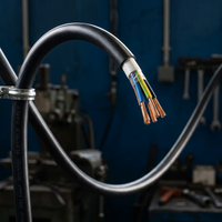 Câble RVV en PVC étanche haute flexibilité, multibrins, 2-5 conducteurs, 0,75 mm², en cuivre pur, qualité 300V 500V, pour infrastructures au Qatar