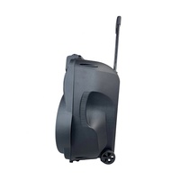 Nouveau modèle de haut-parleur trolley rechargeable haute puissance de 15 pouces pour festival et fête de mariage