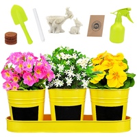 Perlengkapan Menanam Bunga & Melukis Taman, Set Berkebun, Hadiah Terbaik, Kit Taman Peri, Kerajinan DIY, Mainan Edukatif