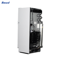 Réfrigérateur à double porte à gaz naturel ou propane pour usage domestique