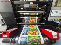 Machine d'impression flexographique à séchage UV multicolore pour l'impression d'étiquettes autocollantes, de gobelets en papier