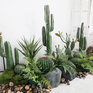 Planta Artificial de Cactus de Plástico, Planta Decorativa para Jardín, Adorno para Interiores, Oficina, Hogar, Plantas Artificiales - Product Image 4
