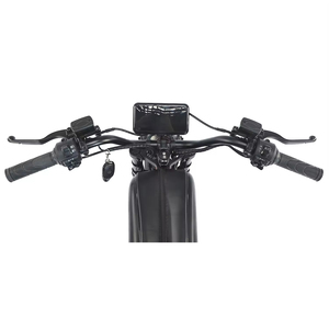 จักรยานไฟฟ้าอเนกประสงค์ Fat Bike ขนาดยาง 20 นิ้ว แบตเตอรี่ลิเธียม 60V 50Ah กำลังไฟ 3000W สำหรับผู้ใหญ่ ขับขี่ในเมืองและนอกเมือง 7 สปีด รุ่น EU USA SK-2 Fat Bik - Product Image 4