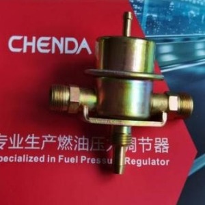 Régulateur de gaz Chenda 0280160215 en laiton pour gaz naturel Nissan - Product Image 1