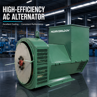 Alternateur synchrone sans balais 300 kVA 50 Hz 60 Hz avec régulateur de tension automatique