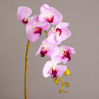 Bunga Anggrek Kupu-kupu Buatan Sentuhan Alami, Tangkai Bunga Phalaenopsis Sutra Tiruan Realistis Dengan Kuncup