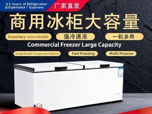 Congélateur coffre commercial grande capacité pour usage professionnel, réfrigération et congélation double fonction, congélateur/<span class=keywords><strong>réfrigérateur</strong></span> simple/double - Product Image 3