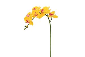 Usine directe réel look réaliste de haute qualité fleurs d'orchidées artificielles tige 7 têtes de mariage décoration - Product Image 4