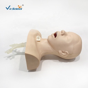Model Kepala Manekin untuk Pelatihan Hisap, Simulator Manekin untuk Pelatihan Medis - Product Image 5