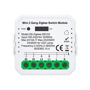 موافقة CE ROHS شاملة للمنزل الذكي عصابتين zigbee 3.0 ، 10A-، V جديدة صغيرة الحجم Zigbee + RF switch