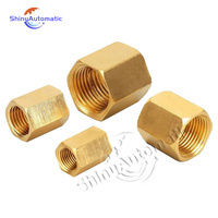 Raccord de tuyauterie en laiton NPT BSP, raccord hexagonal pour tuyau en cuivre, raccord rapide, raccord femelle, embout de raccordement, adaptateur droit