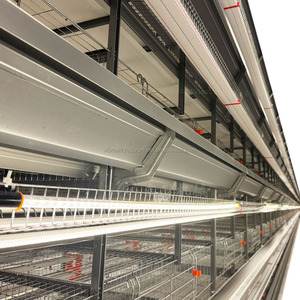 Jaula Automática de 4 Niveles para Gallinas con Sistema Automático de Alimentación, Bebederos, Recolección de Huevos y Limpieza de Estiércol para 10 <span class=keywords><strong>Mil</strong></span> Gallinas - Product Image 1