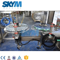 Machine de dépose de colle pour emballage bouteilles, thermofusible, Type linéaire, OPP
