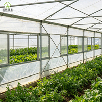 Serre de jardin professionnelle à simple travée en acier galvanisé à chaud, avec protection UV, pour la culture de légumes