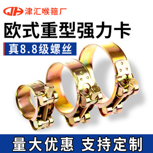 Collier de serrage Tsinhui 17-252 mm, galvanisé, robuste, pour industrie lourde - Product Image 5